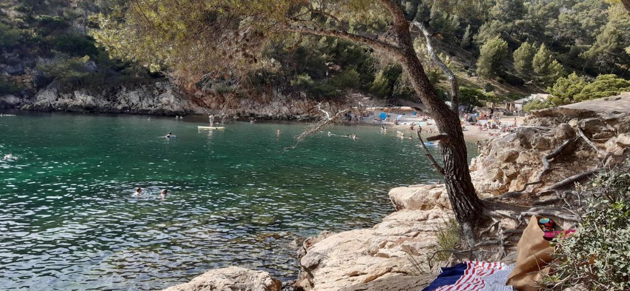 Petit Coin De Paradis Au Soleil Pres De La Mer Сен Сир сюр Мер Екстериор снимка